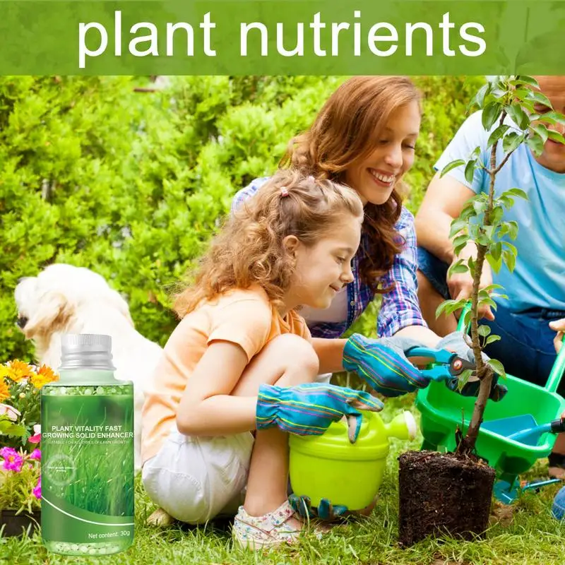 Plant Nutrients Plant Nutrient Solution And Growth Enhancer Plant Food With Root Boosting Formula Safe And Effective Plant