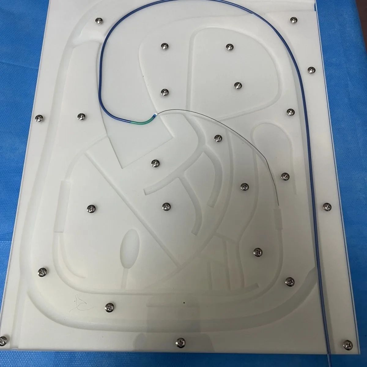 PCI Trainer Percutaneous Coronary Intervention Training Simulator Coronary Bifurcation Model Coronary Arteries Vascular