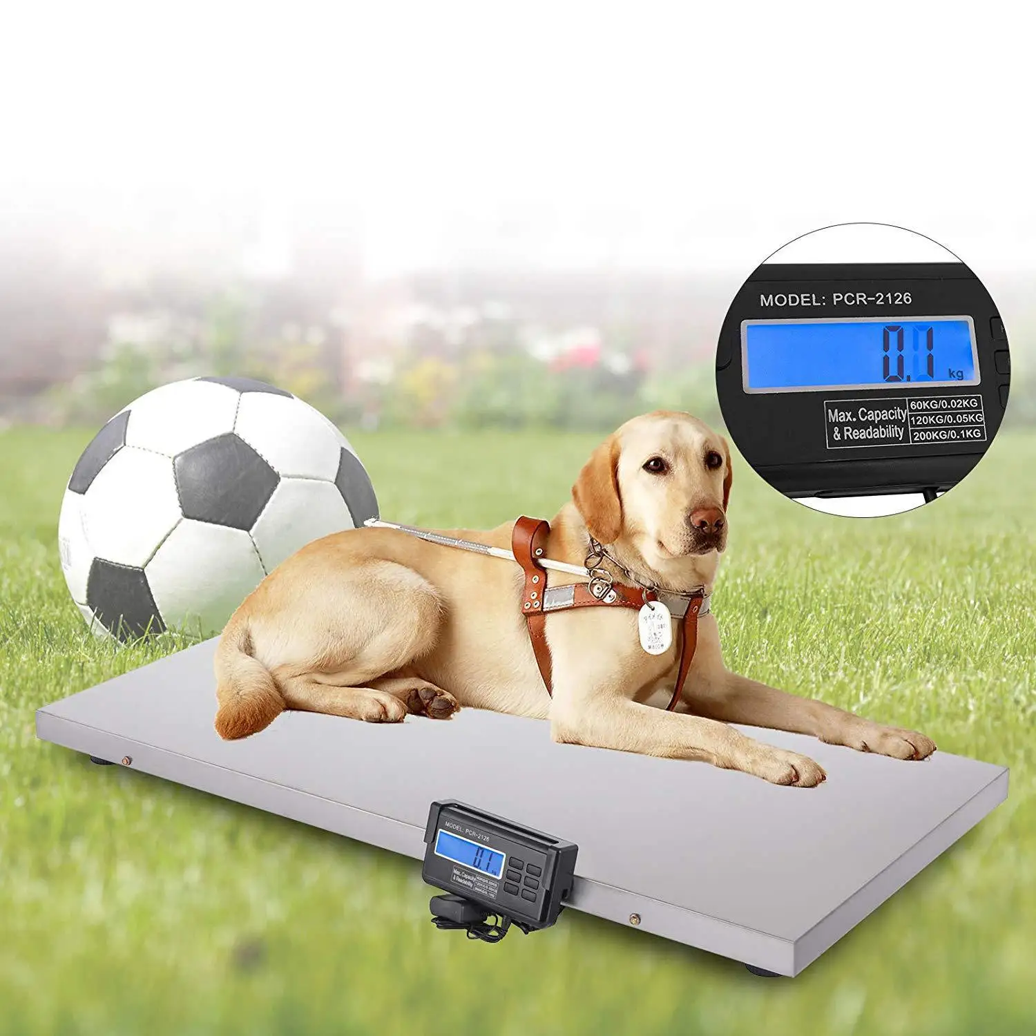 الموازين الإلكترونية، التجارة الإلكترونية، الموازين البريدية، الحيوانات الأليفة، الحقائب، الحيوانات، الانقسام، الطرود السريعة #2