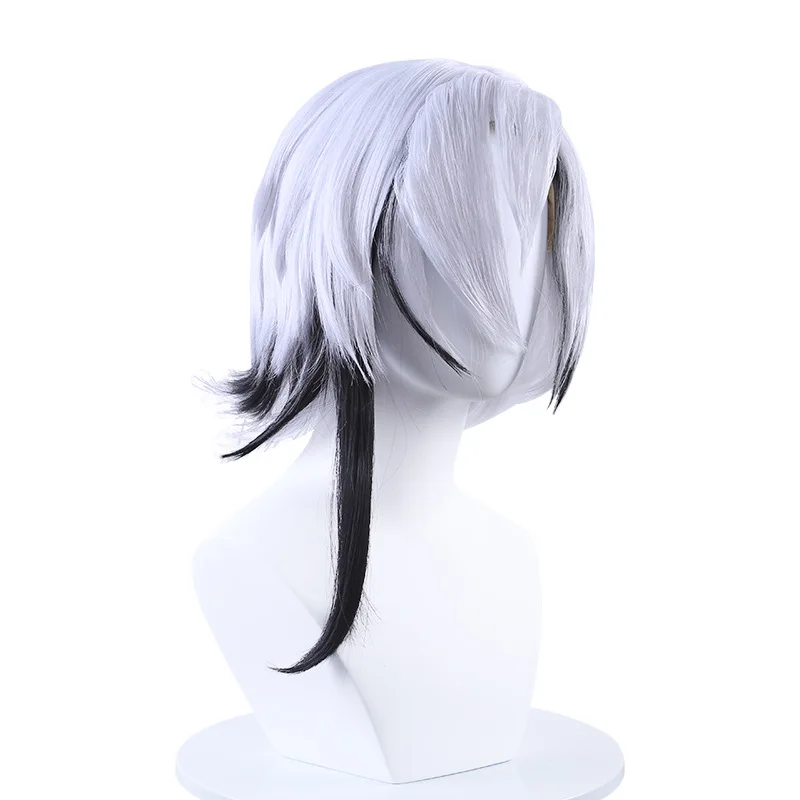 Parrucca sintetica lunga diritta Cuoio capelluto naturale Resistente al calore Costume da festa per cosplay Abbigliamento quotidiano da donna