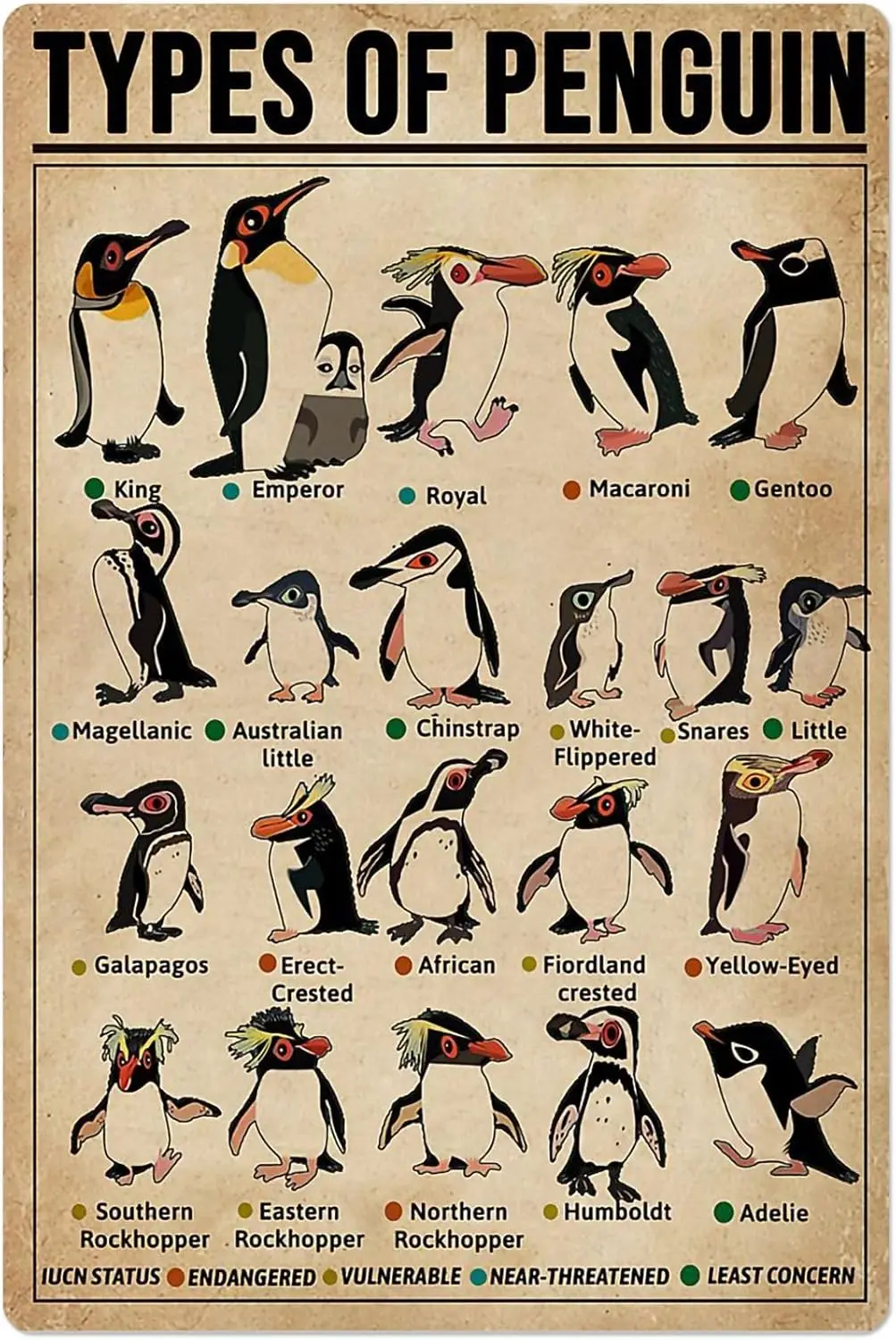 F1,Types Of Penguin…