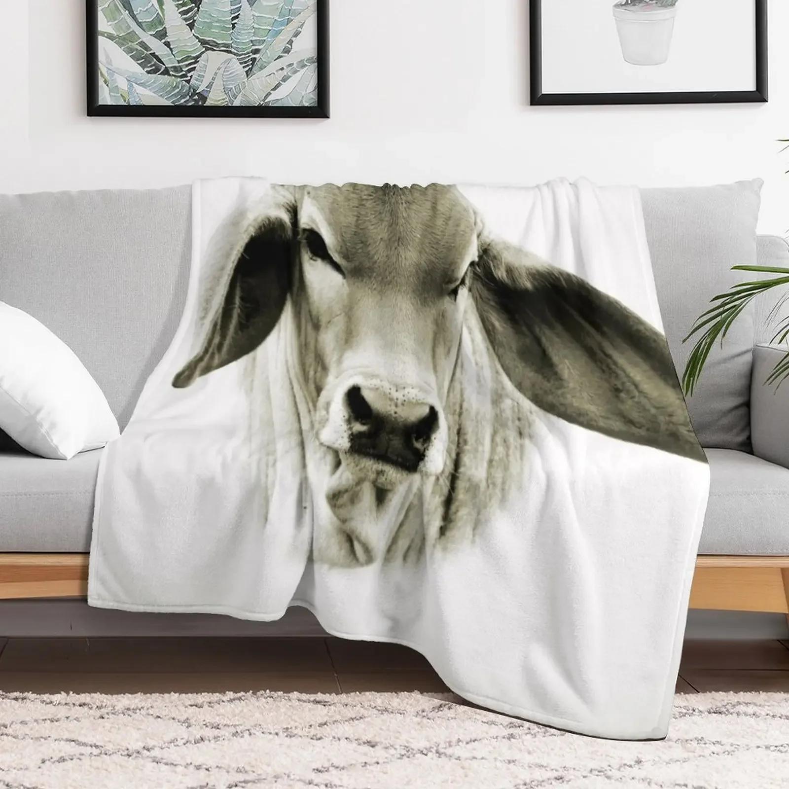 New BRAHMAN CALF, PORTRAIT, WALL ART Throw Blanket Personalized Gift For Sofa Thin sofa bed Blankets