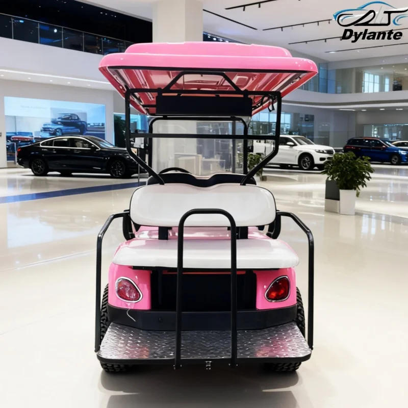 60V/72V Lead-Acid Maintenance-Free Battery Golf Cart From Factory Modern Fashion Electric Golf Cart Golf Hunting Vehicle