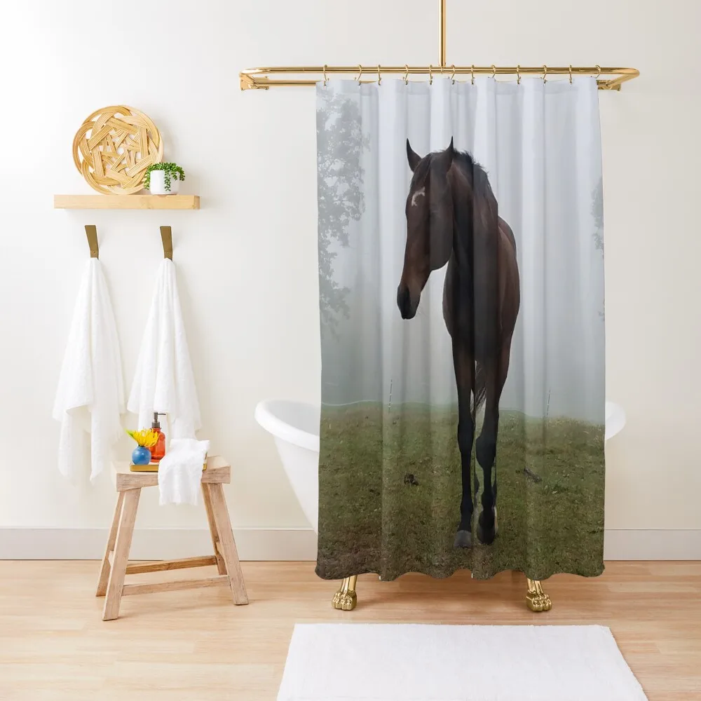 

Horse of the Mist Shower Curtain For The Bathroom Set For Bathroom Cute Shower For Bathrooms Curtain