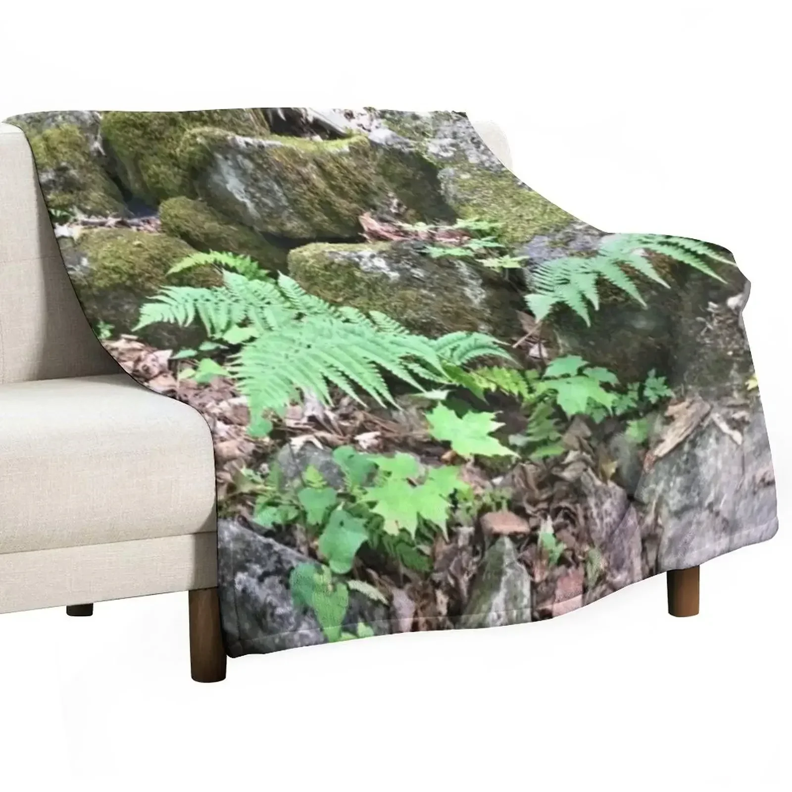 

Fern Forest Floor / Mossy Cover / Rocks / Lush Plants Throw Blanket Softest Hairys Furry Blankets