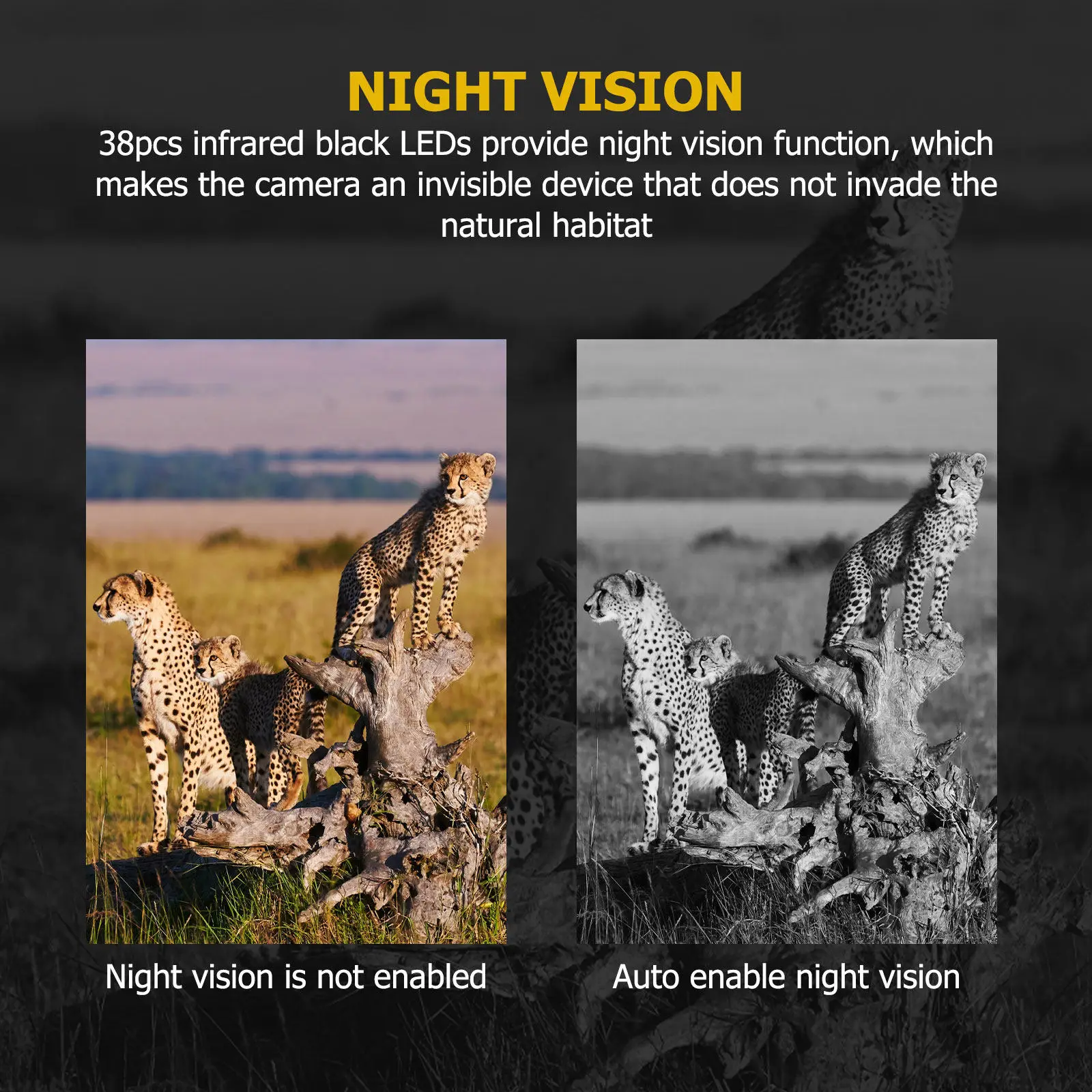 Trail Camera 12MP 1080P Video PIR Night Vision 38 IR LEDs IP66 Waterproof Wildlife Hunting Scouting