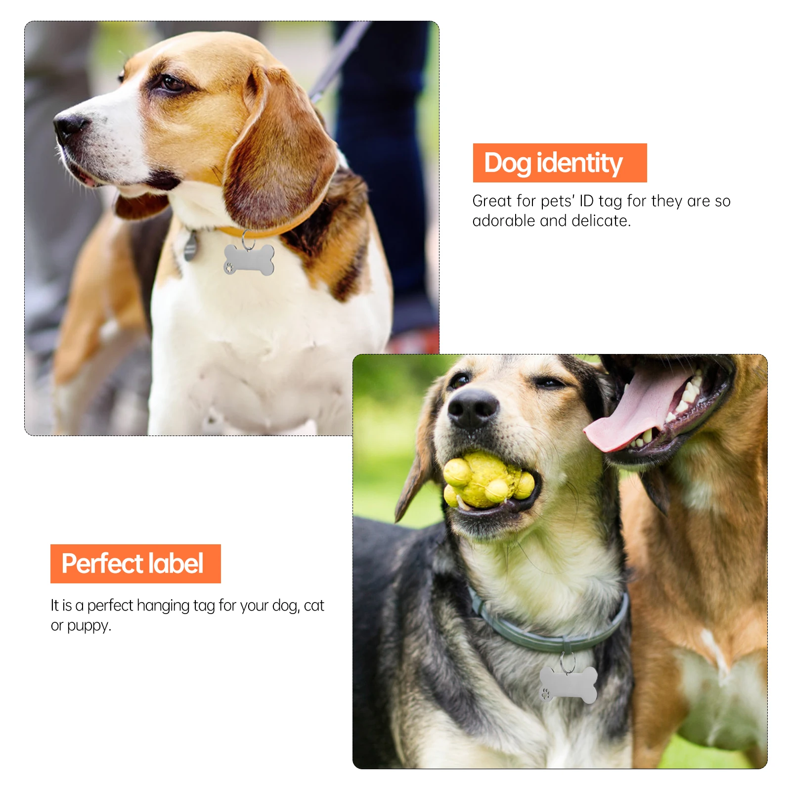 

Stainless Steel Pet Dog Tag Name Plate Collar Id Tags Personality Pendent Hanging Stylish Design Premium Quality