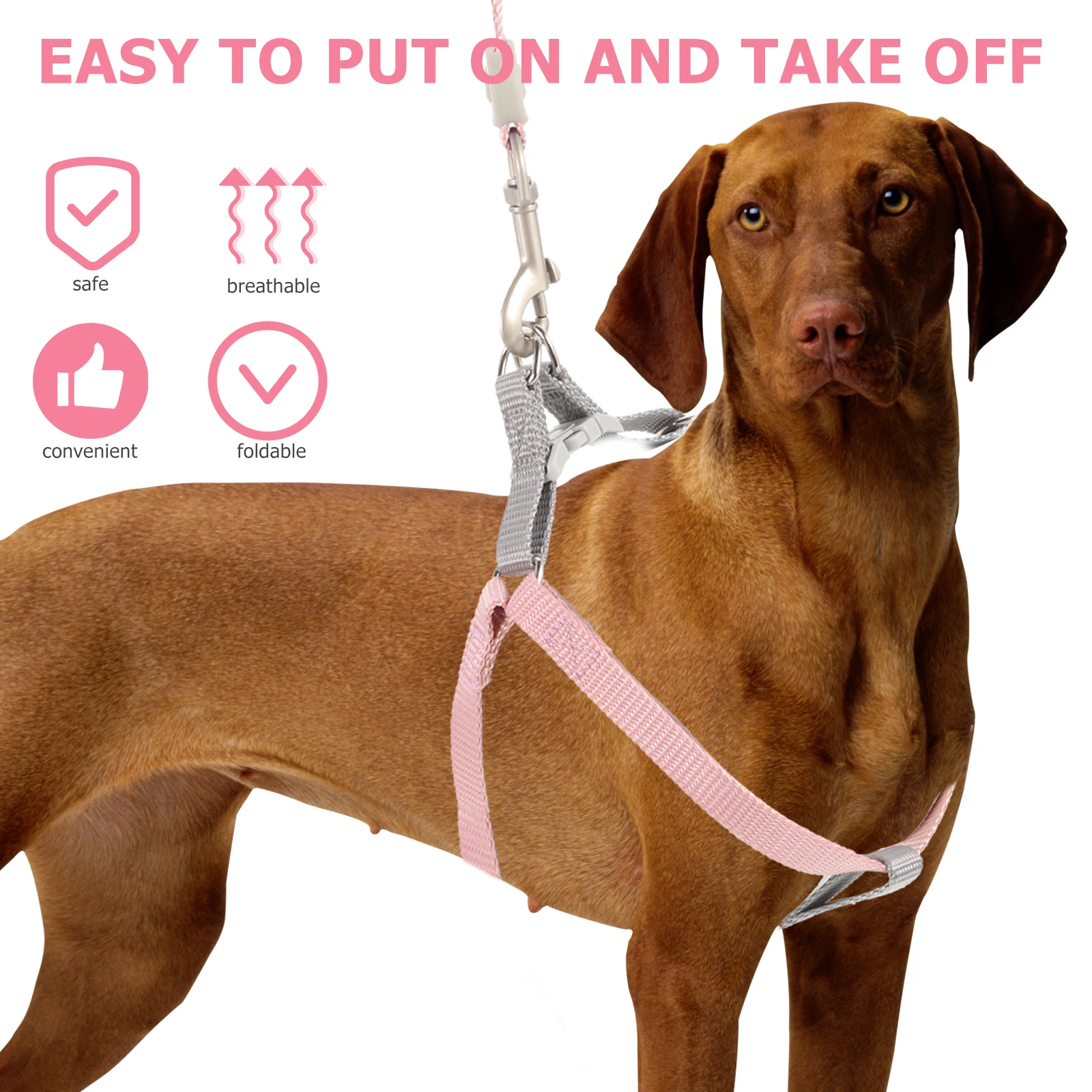 

Adjustable Dog Harness Rings Lightweight Compact Easy to Carry Polyester Puppy Training Leash Set for Small Dogs