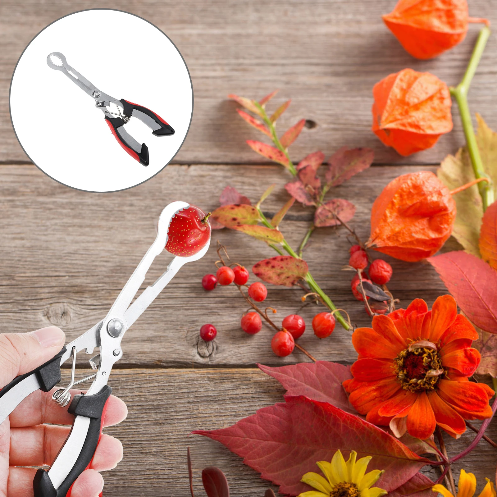 

Stainless Steel Plier Fruit Core Remover Ergonomic Kitchen Gadget For Hawthorn Core Removing Tool Home Restaurant Use