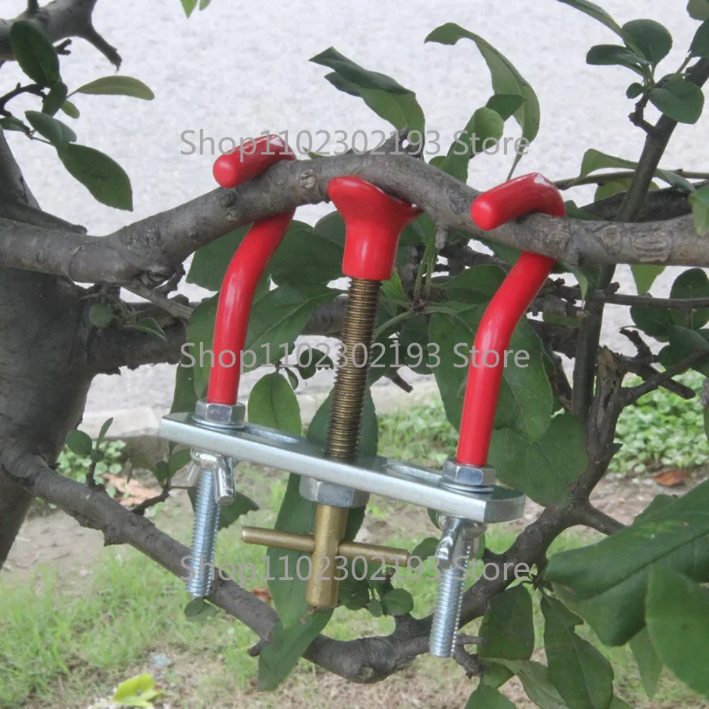 Bending Bonsai Trees Curved Branch Modulator Trunk Lopper Regulator Repair Grafting Knife Tool Garden Pruner Shears