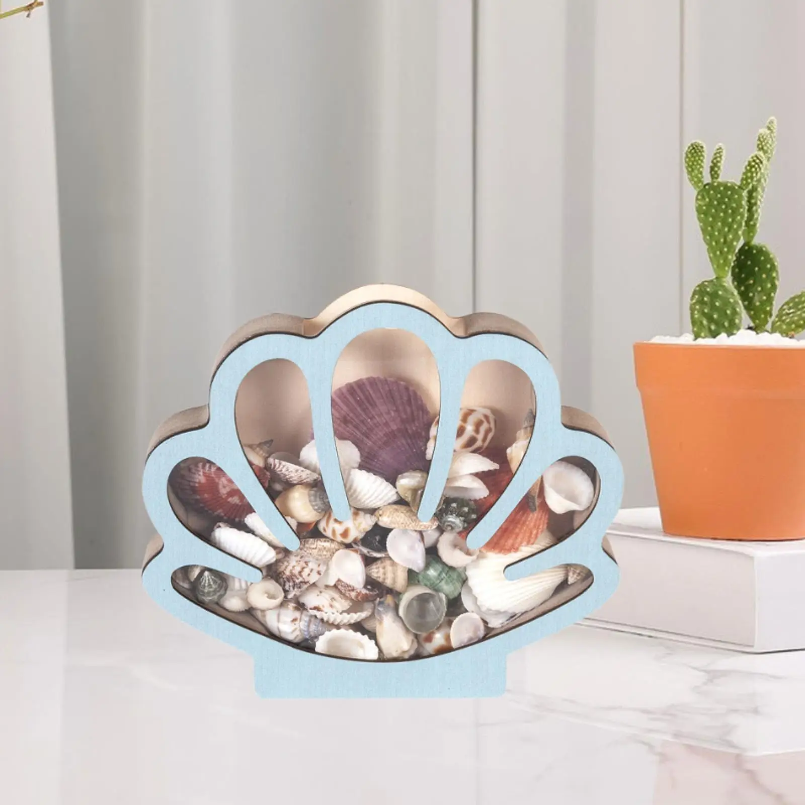 صندوق عرض على شكل قذيفة خشبية للديكور والديكور وأحجار قابلة للجمع #4