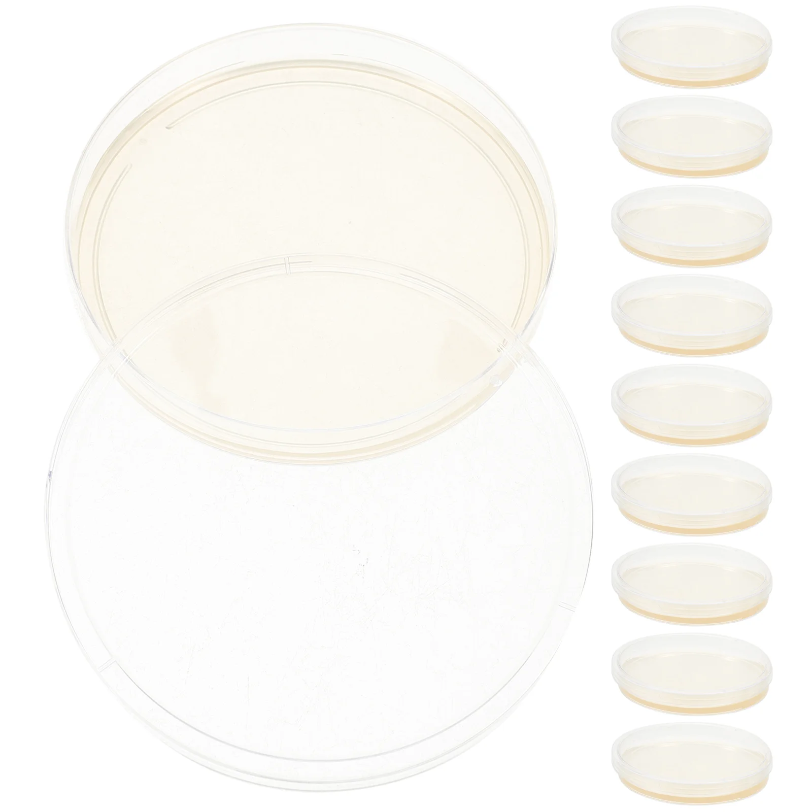 10 Pcs Nutrient Agar Plate Science Experiment Supplies Prepoured Plates Petri Tank Toy Potato Dishes with Tissue Culture Child