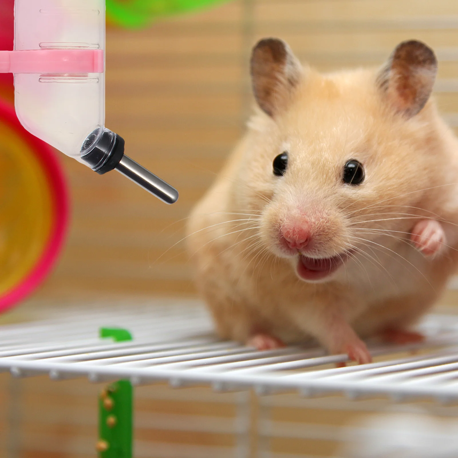 

3Pcs Automatic Water Feeder Bright Color Durable Environment Friendly Practical Leak-Proof Drinking Tool Hamster Bunny Small