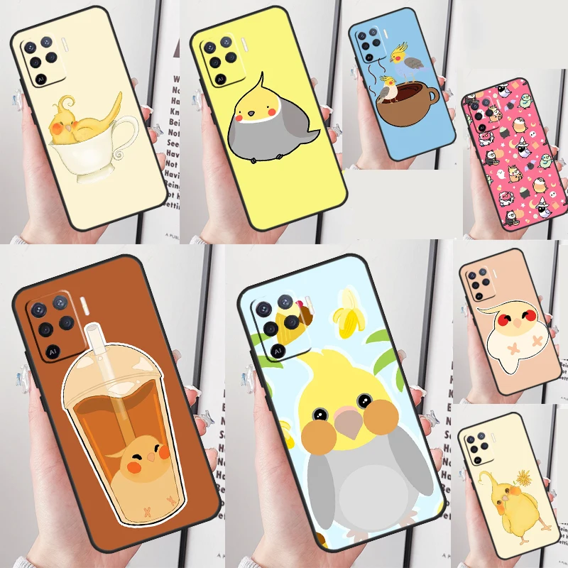 Chubby Cockatiels P…