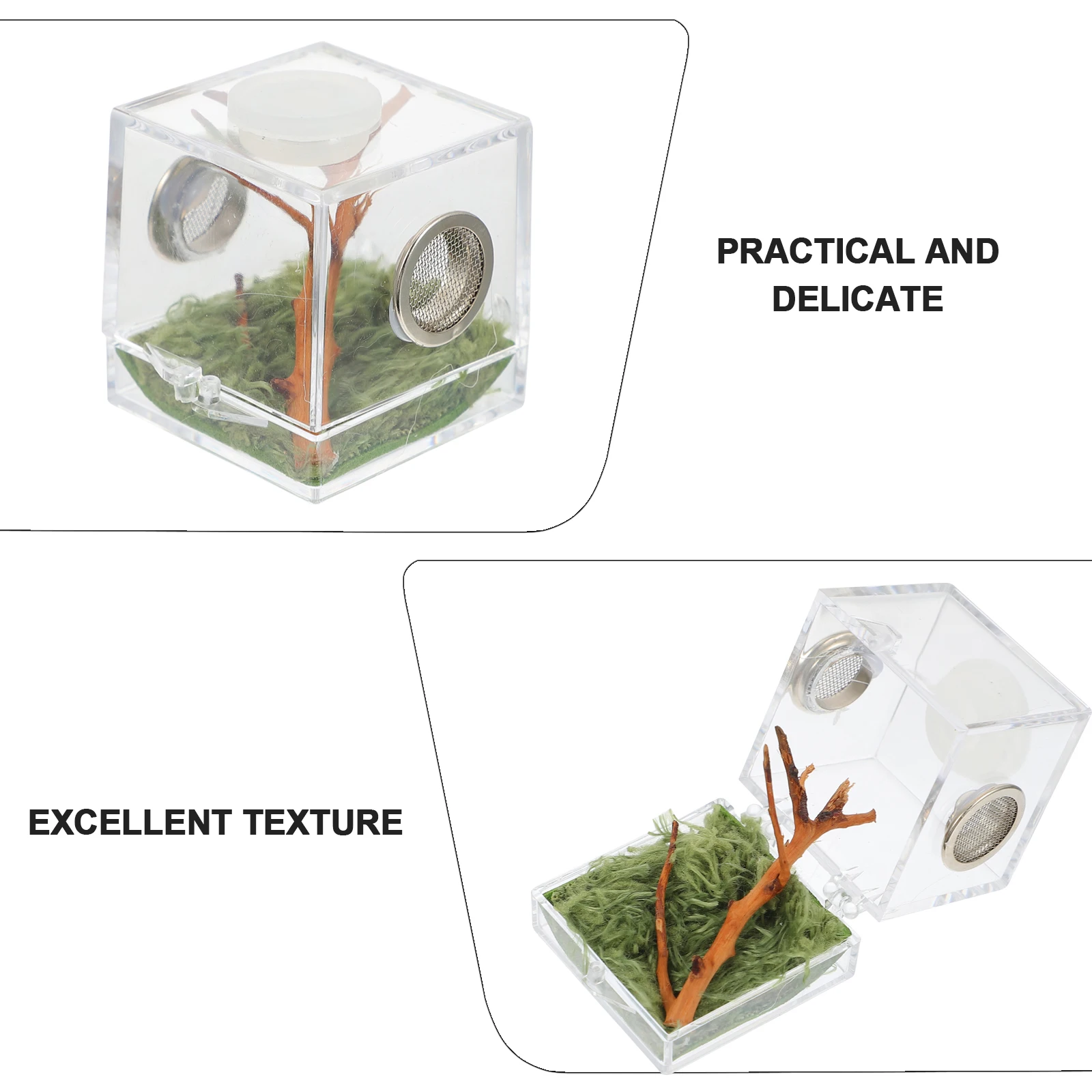 

Clear Container Jumping Spider Breeding Box Encloser Strawberry Hideout Habitat