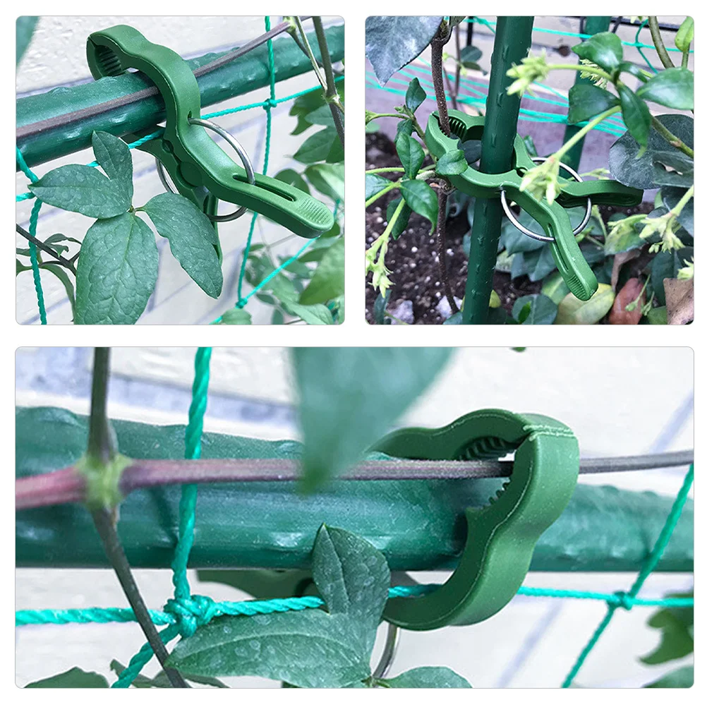 

Garden Plant Clips 50pcs Support Clamp for Tomato Cucumber Chili Vine Stem Fixing Grafting Climbing Plants Plastic Gripper Tongs