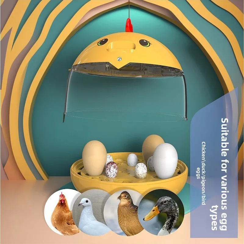 Mini Egg Incubator Automatic Digital Poultry Hatcher Machine Quail Chicken Bird Duck Eggs LED Temperature Control Humidity Tray