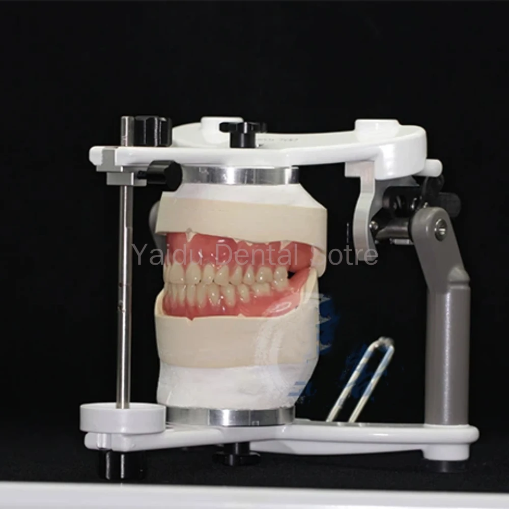 Denture Model Analysis Absorbent Resin Teeth Alignment Alveolar Ridge Contour Guide for Oral Cavity Dental Tools