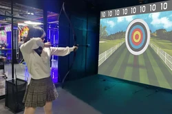 Interactive Projection Auto-Scoring Archery System Bow Archery Shooting Indoor Playground