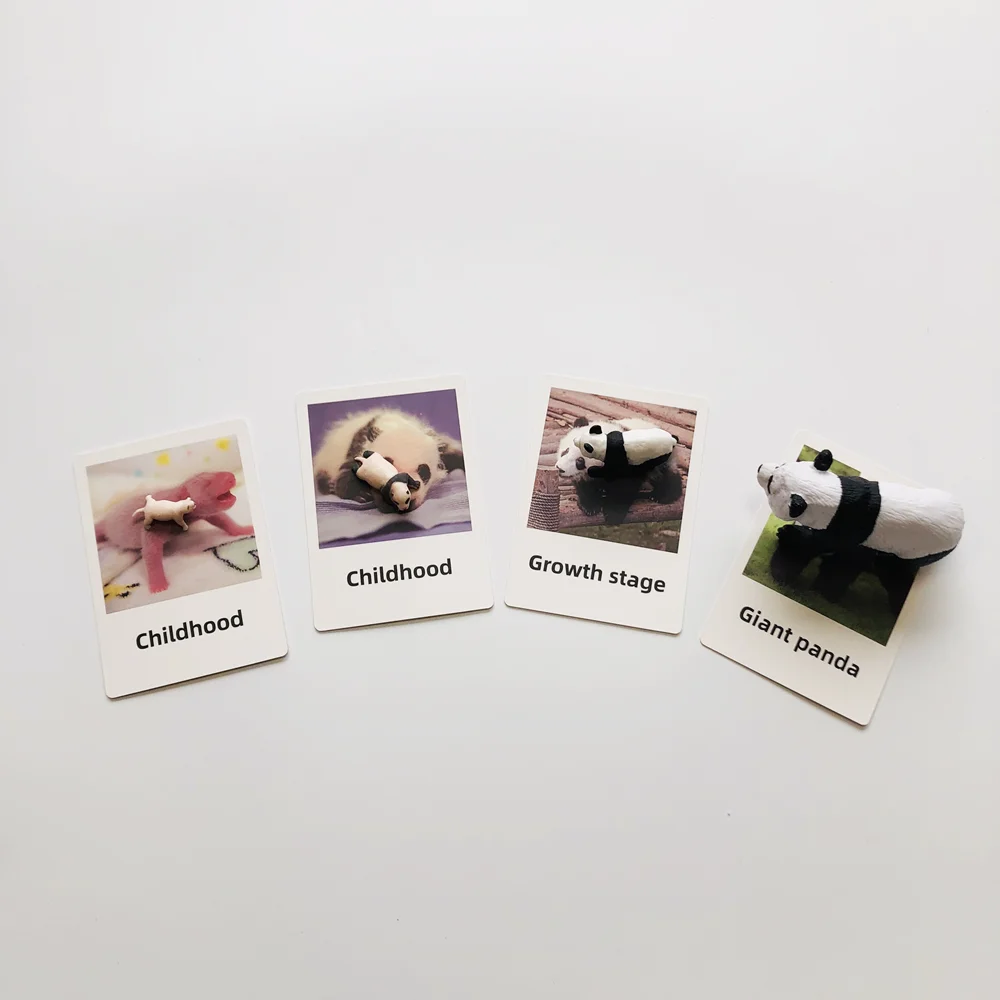 Materiais de biologia montessori, ciclo de vida do panda com cartões cognitivos, brinquedos de aprendizagem precoce, auxiliares de ensino pré-escolar, jogo educacional