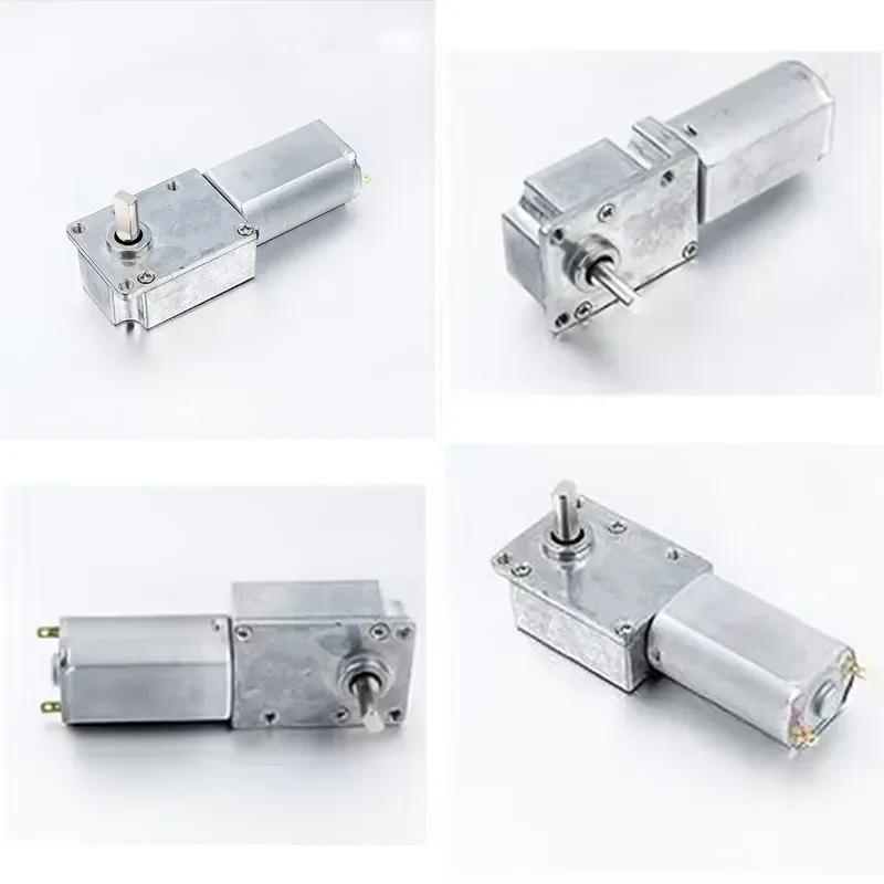 Hot China Factory Cheap Price 4.5v 6v 12v 24v Low Speed High Torque Dc Worm Gear Motor with 180 Dc Micro Motor DWG2534-180