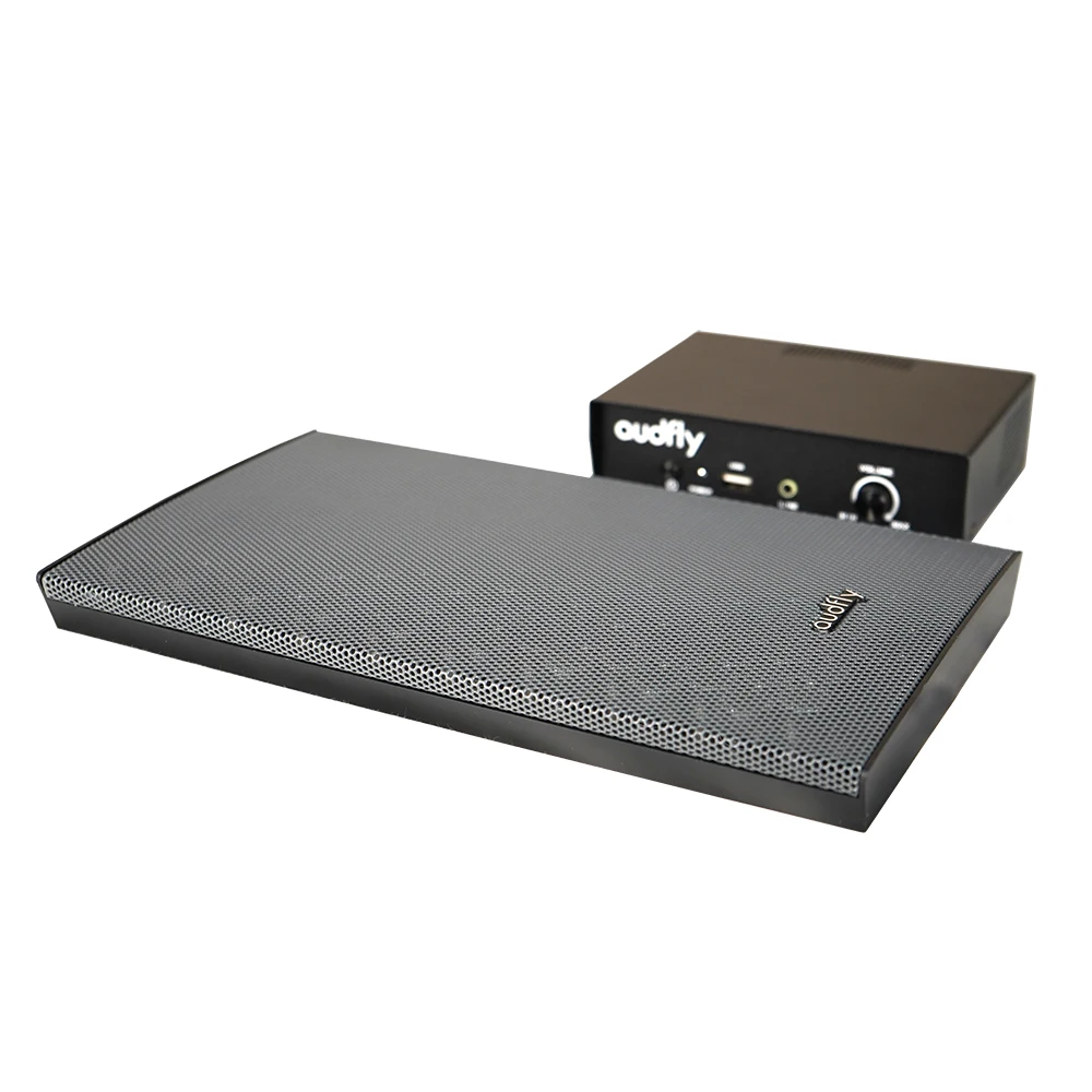 TLF Audfly Control Sound Innovation Alto-falantes direcionais de áudio de alta direção montados na parede para museus