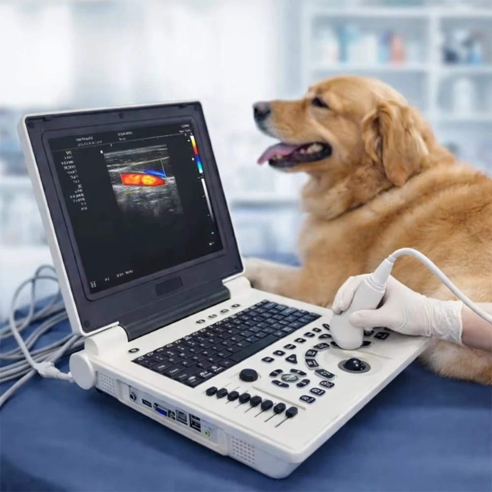 Direct supply of VET portable veterinary ultrasound equipment