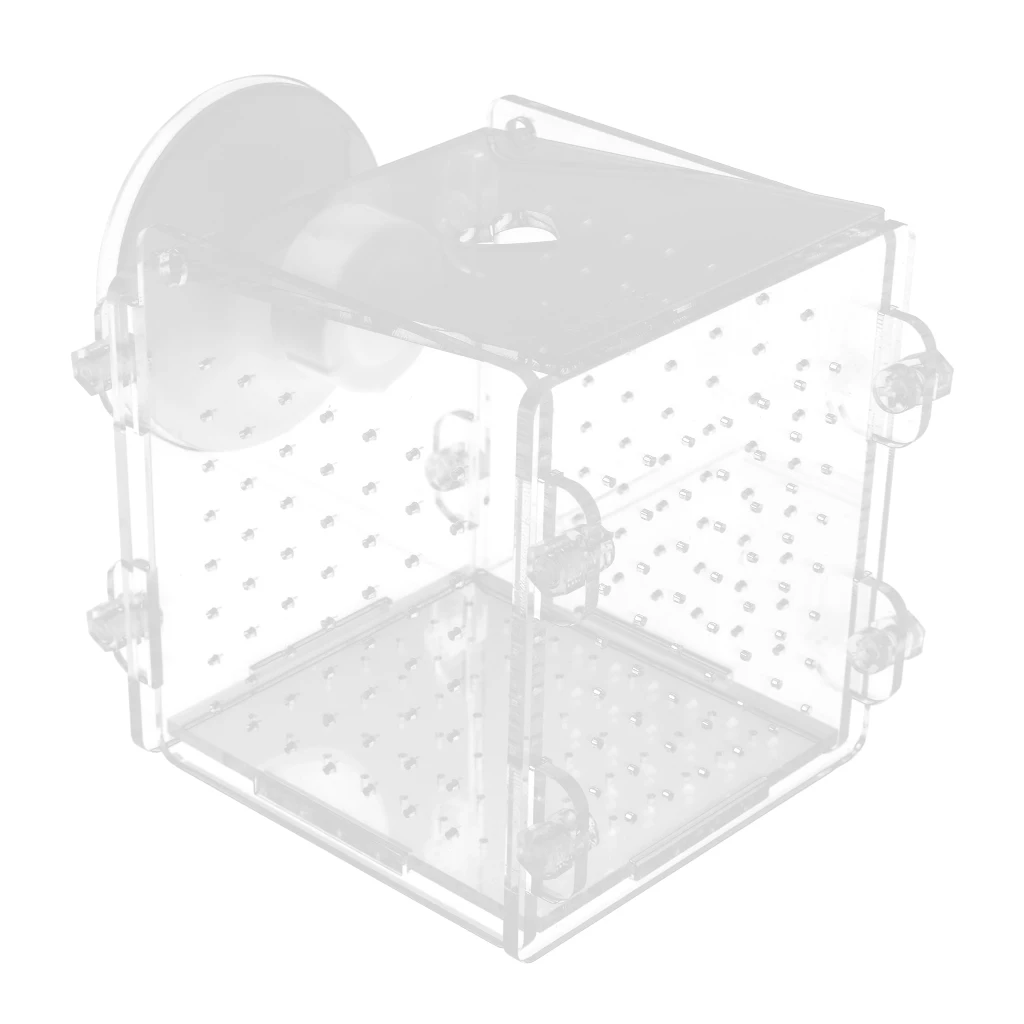 Aquarium fish breeding isolation box Incubator incubator made of acrylic,