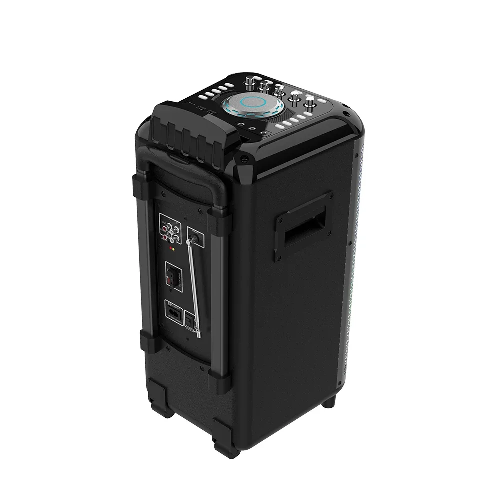 Factory Hot Selling 10inch Trolley Speakers Audio System Sound Professional Home Theater For Party/outdoor/stage