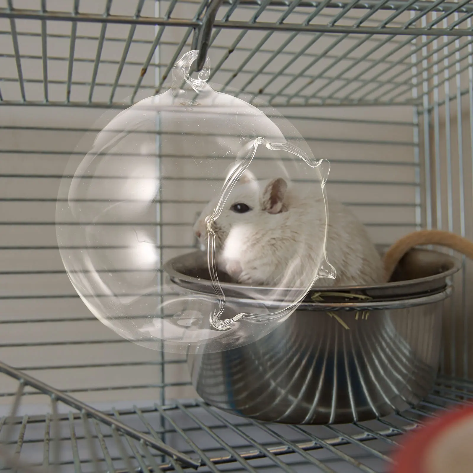 

Ball Shaped Transparent Hamster Glass Cooling Nest Hanging Pet Hut Summer Sleeping Bed Hamster Cool Nest