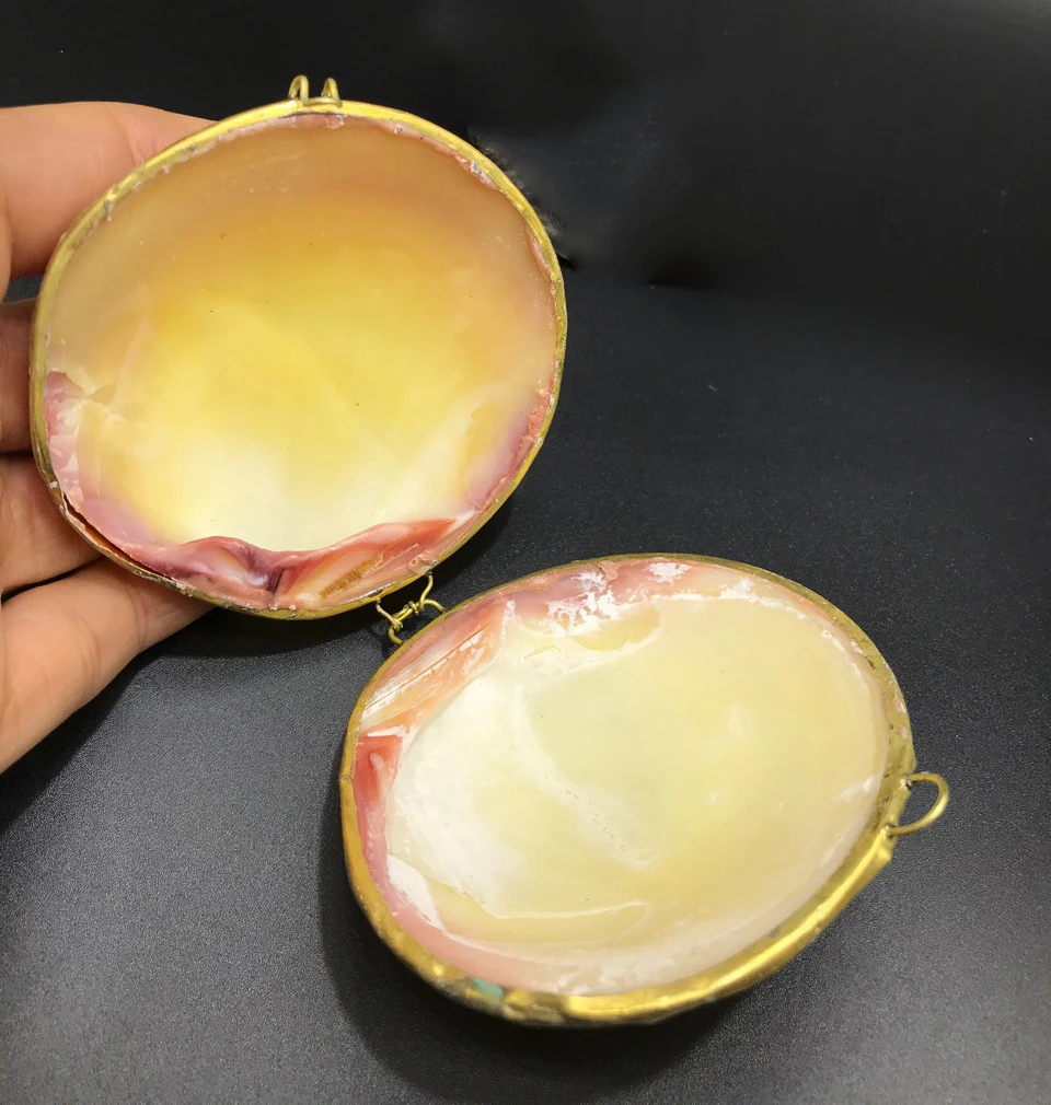 Aqumotic Natural Shell Jewelry Box Cans Conch Crafts No Chain Ear Studs Jewelry Ring Earrings Bracelet Necklace Storage