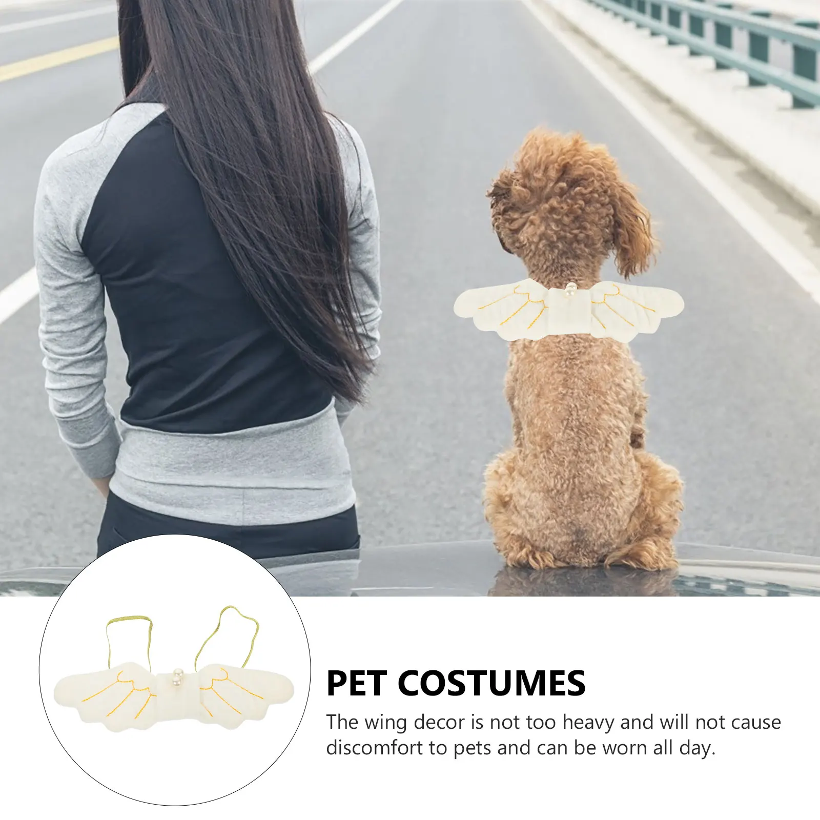 

Wings Chest Harness Soft Wear-Resistant Material Stylish Lovely Design for Cats Dogs Halloween Party Event Decoration