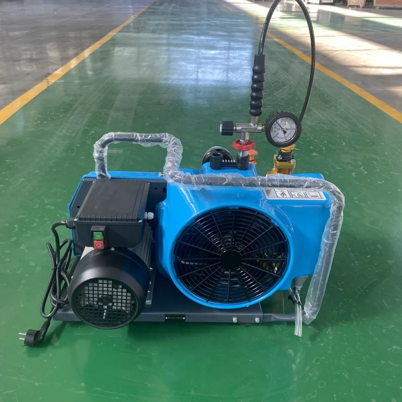 Portable 220V Manual Stop 100 L/min High Pressure 3 Cylinder 4500 psi 30 trillion Pa 300 bar Snorkeling Diving Tank Filled Air