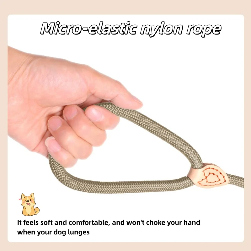 Heavy Duty Slip Rope Leash 4