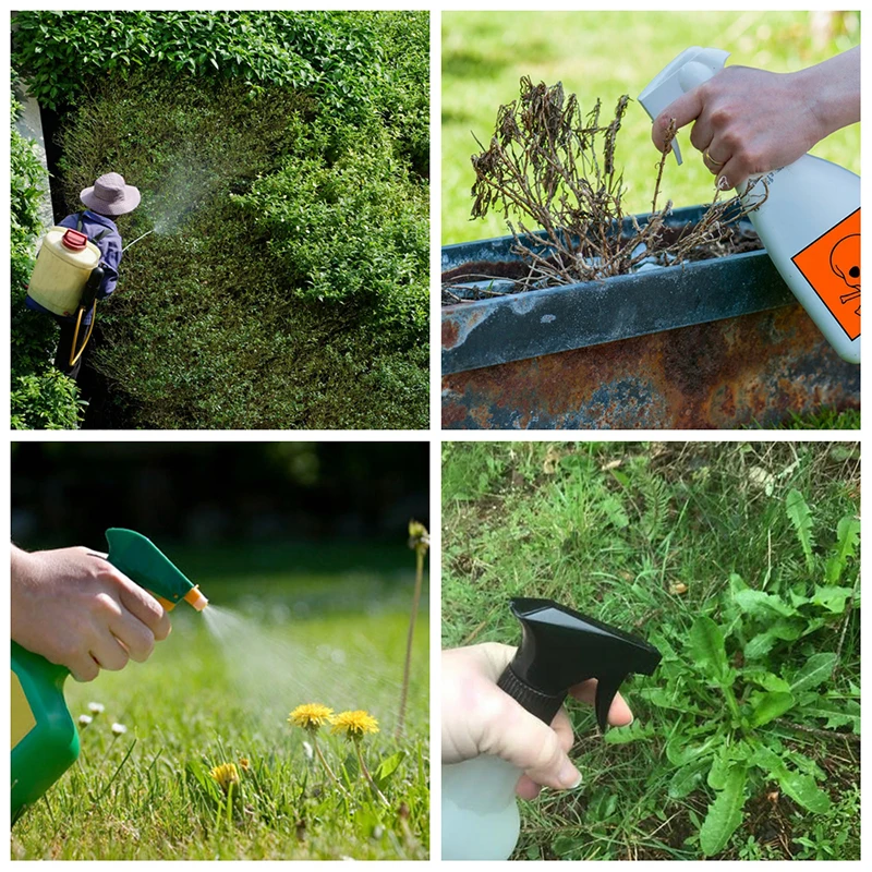 Jardin 95% nommé Phosate