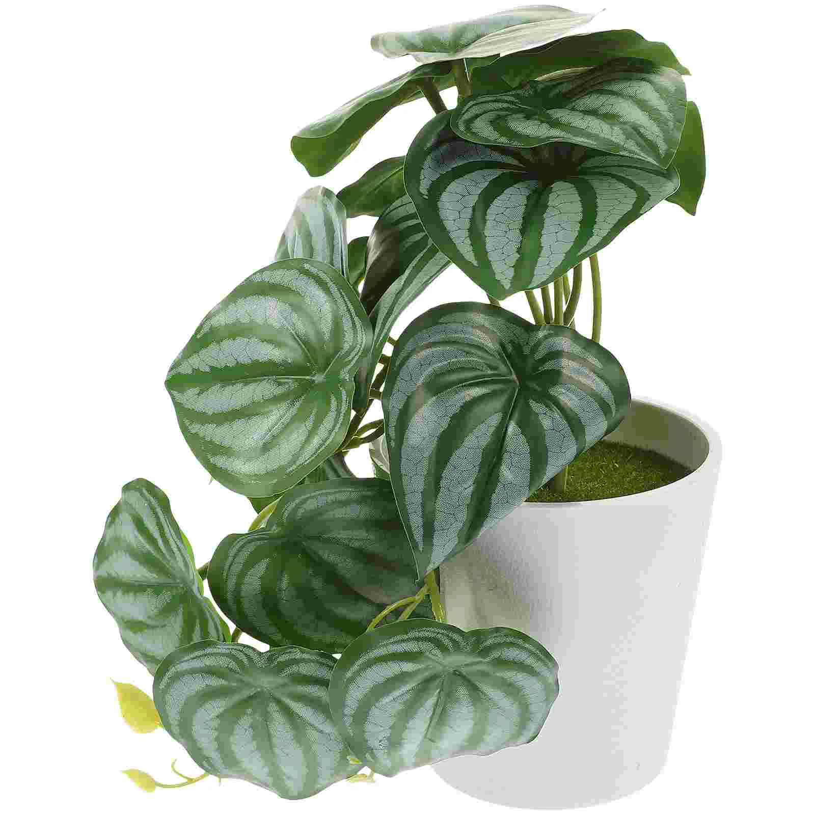

Potted Plant Artificial Bonsai Green Ornaments Succulent Silk Flower Decoration Fake