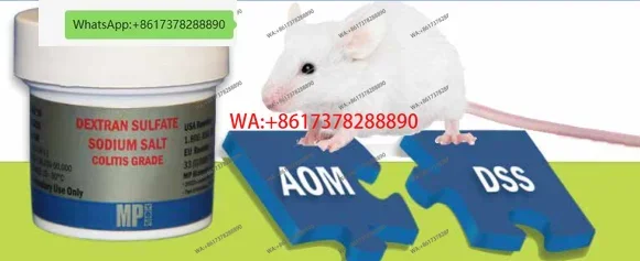 Model of AOM/DSS-induced enteritis in mice