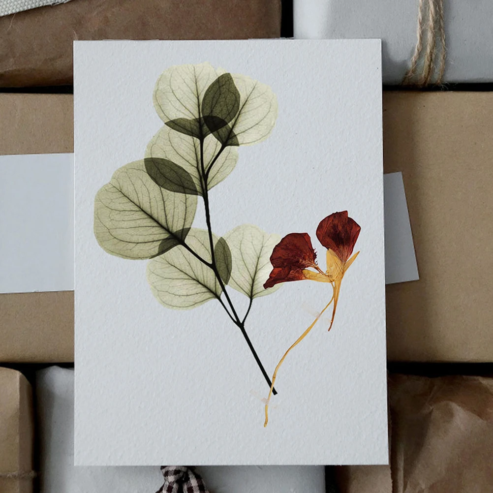 

1 set Large Flower Press Kit Drying Boards 14x14cm 2mm 10 Sheets Paper DIY Crafts Plants Preservation Art Scrapbooking