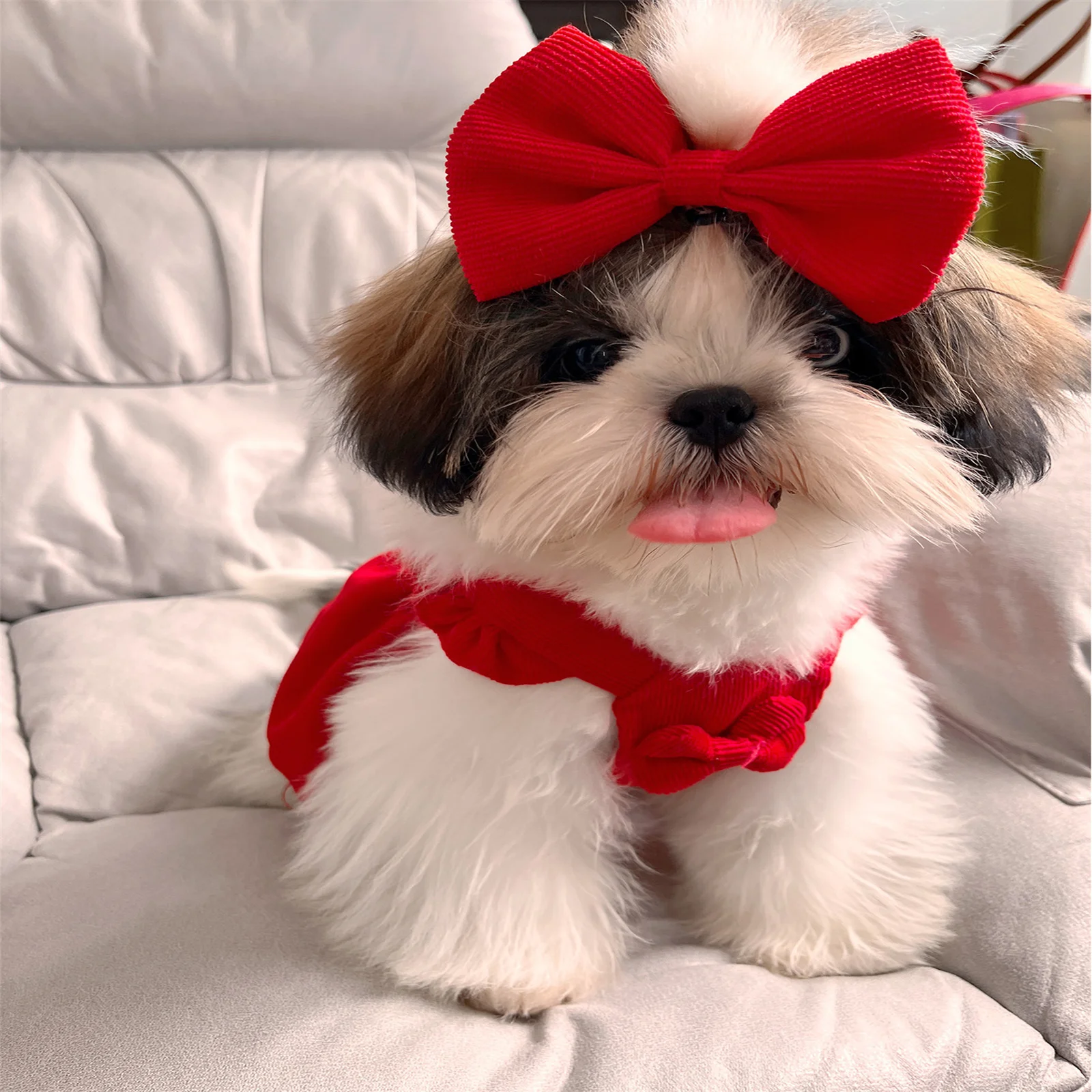 

Red Bow Princess Dress For Cats And Dogs Warm Jacket For Puppy Teddy Clothing Pet Supplies Pet Accessories