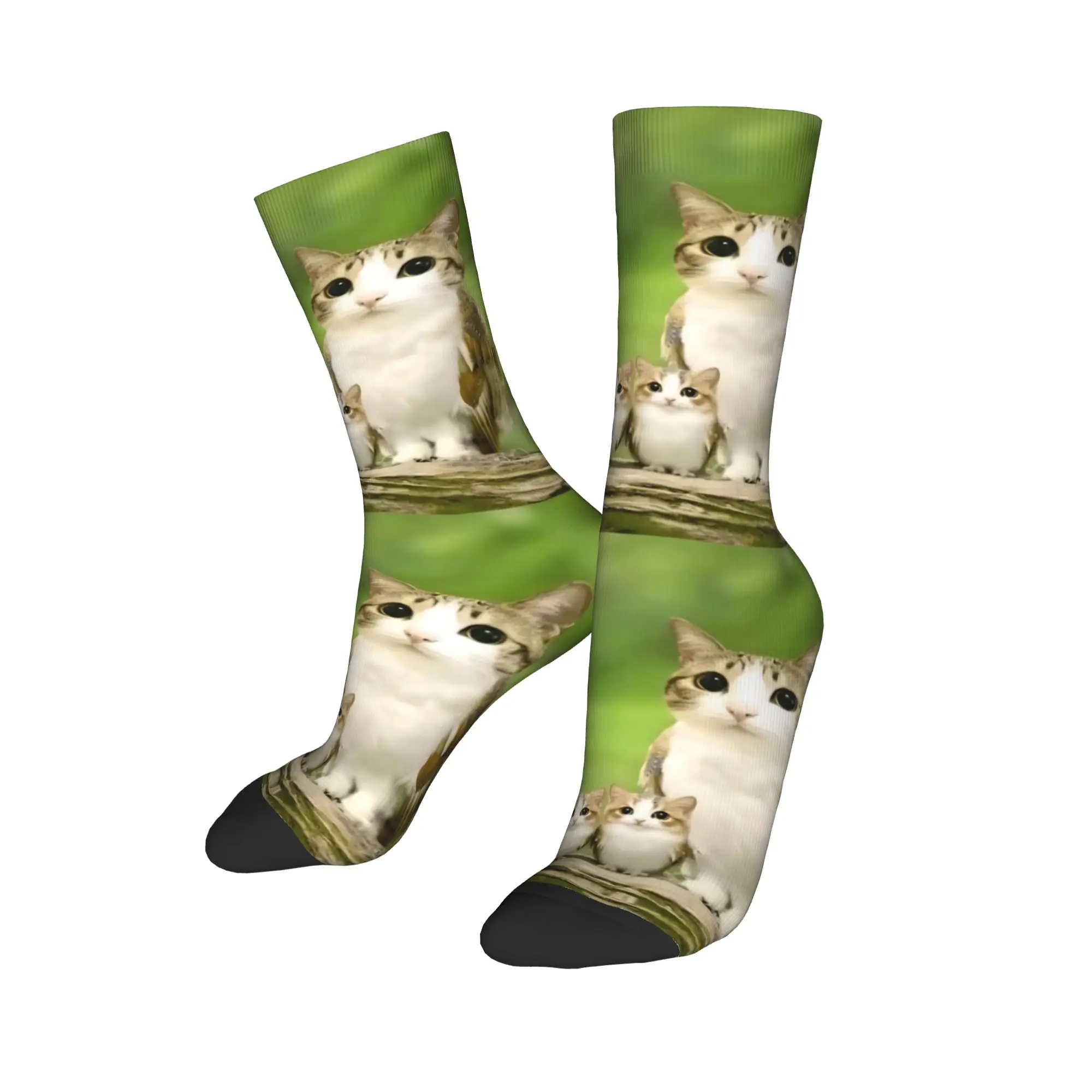 New Male Men Socks Casual Cute Cat Owl Meowl Meme Sock Polyester  Graphic Women Stockings Spring Summer Autumn Winter