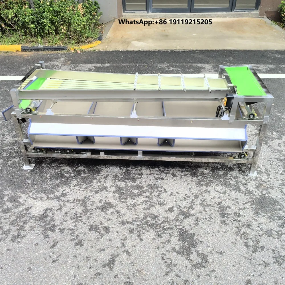 Top Quality Fruit Calibration Machine Precise Fruit Vegetable Grading Machine Reliable Sizing Grader Sorter Equipment