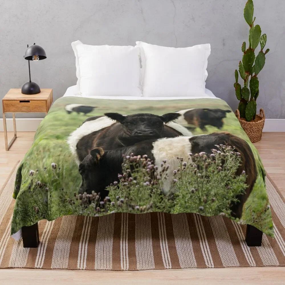 

Belted Galloway Cows Throw Blanket Flannel christmas gifts Luxury Retros Blankets