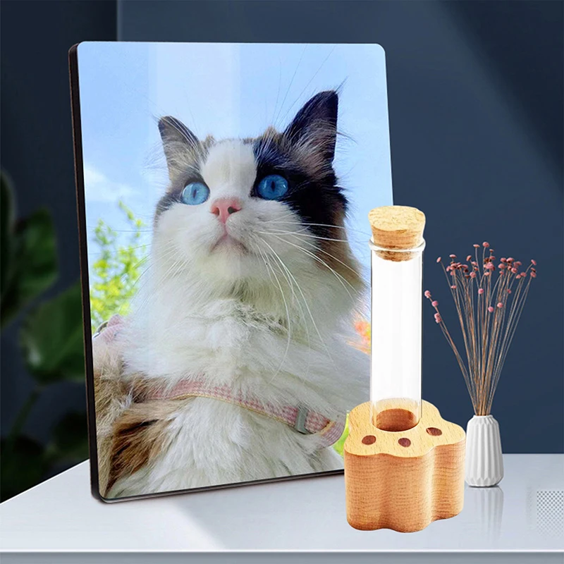 Cat Whisker Jar Mini Glass Test Tube Vase For Cat Whisker Holder Elegant Memorial Gift Collection For Pet Lovers