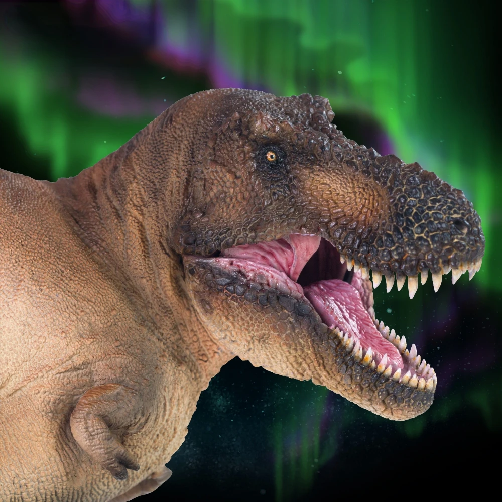 PNSO Dinosaur Museums Series：Andrea The Tyrannosaurus REX 1:35 Scientific Art Model