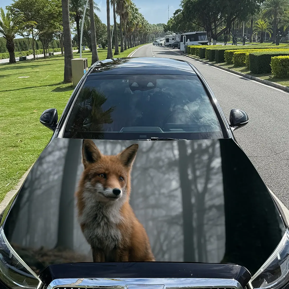 Calming Fox In A Sh… - image