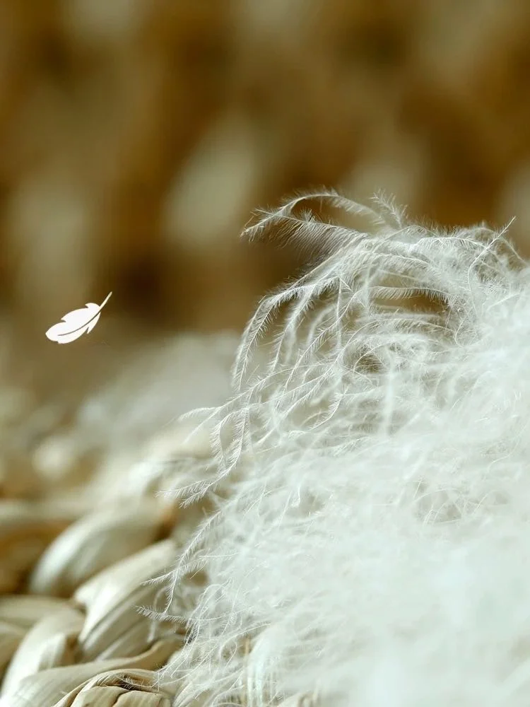 Yaloo Women's down Jaet Vest Loose Fit Autumn Winter Outerwear Versatile Innerwear Casual Straight Cut Nylon Fabric