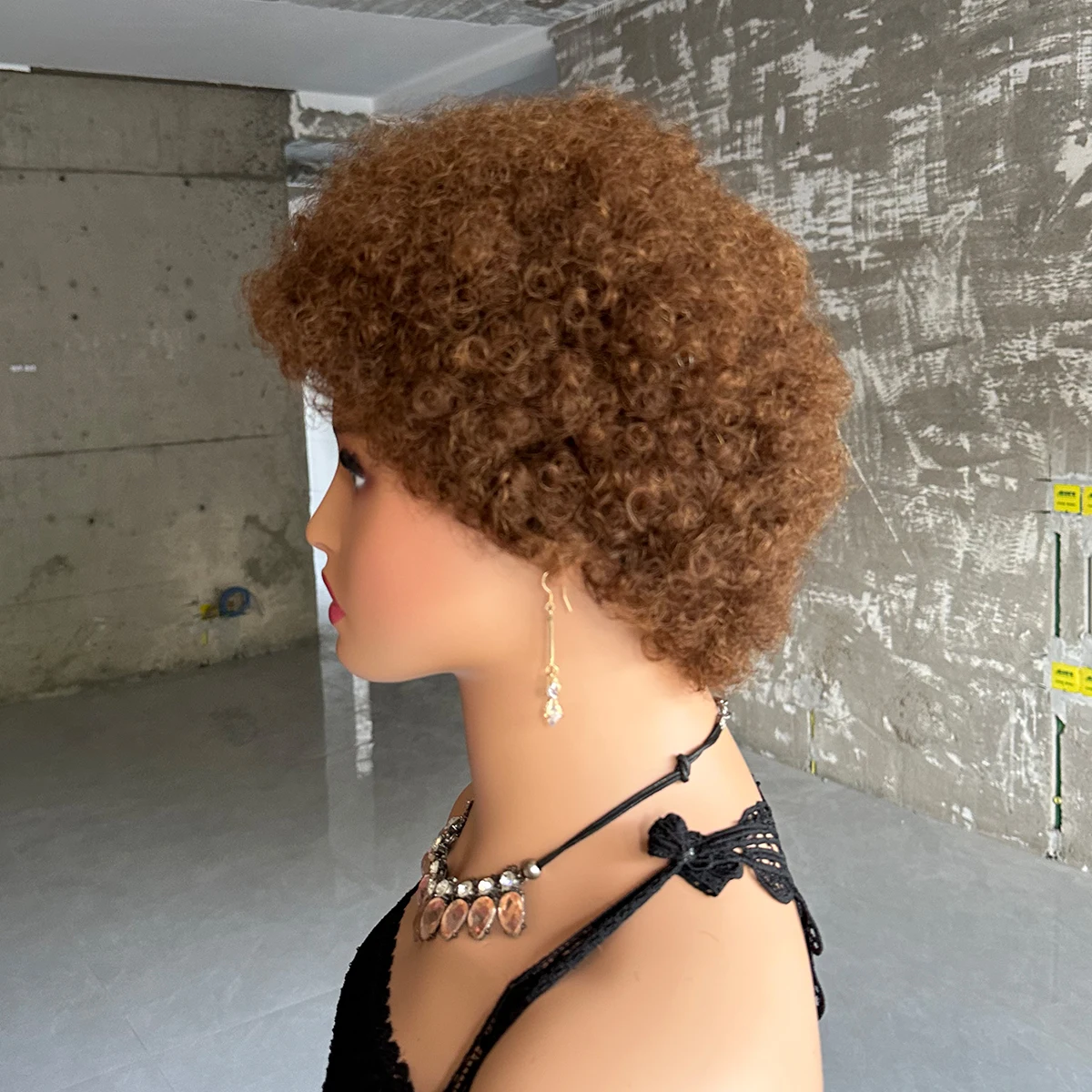 Short Afro Kinky Curly Wigs Human Hair Brazilian Hair Human Hair Afro Wigs Full Machine Made Wig