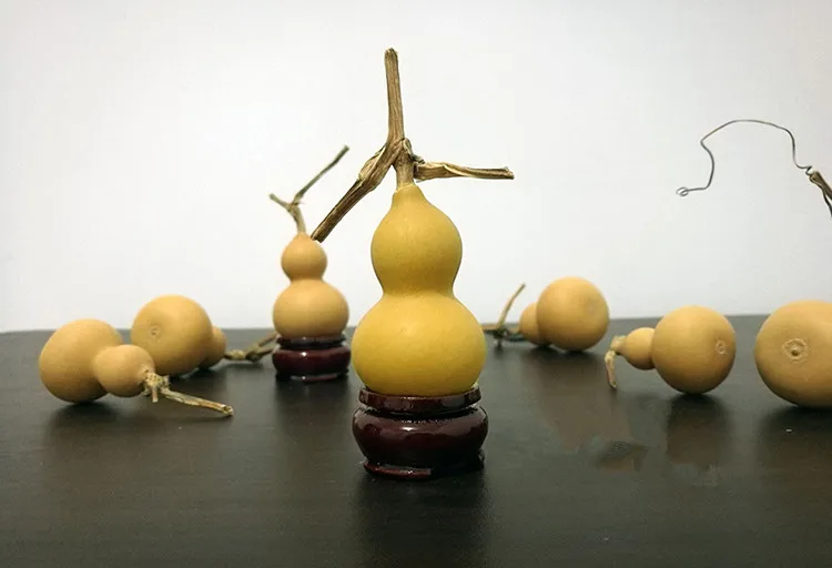 Многоразмерный сушеный Lagenaria ASVaria Натуральный сушеный гурт Ремесло Калабас Гарбуз Растительная тыква