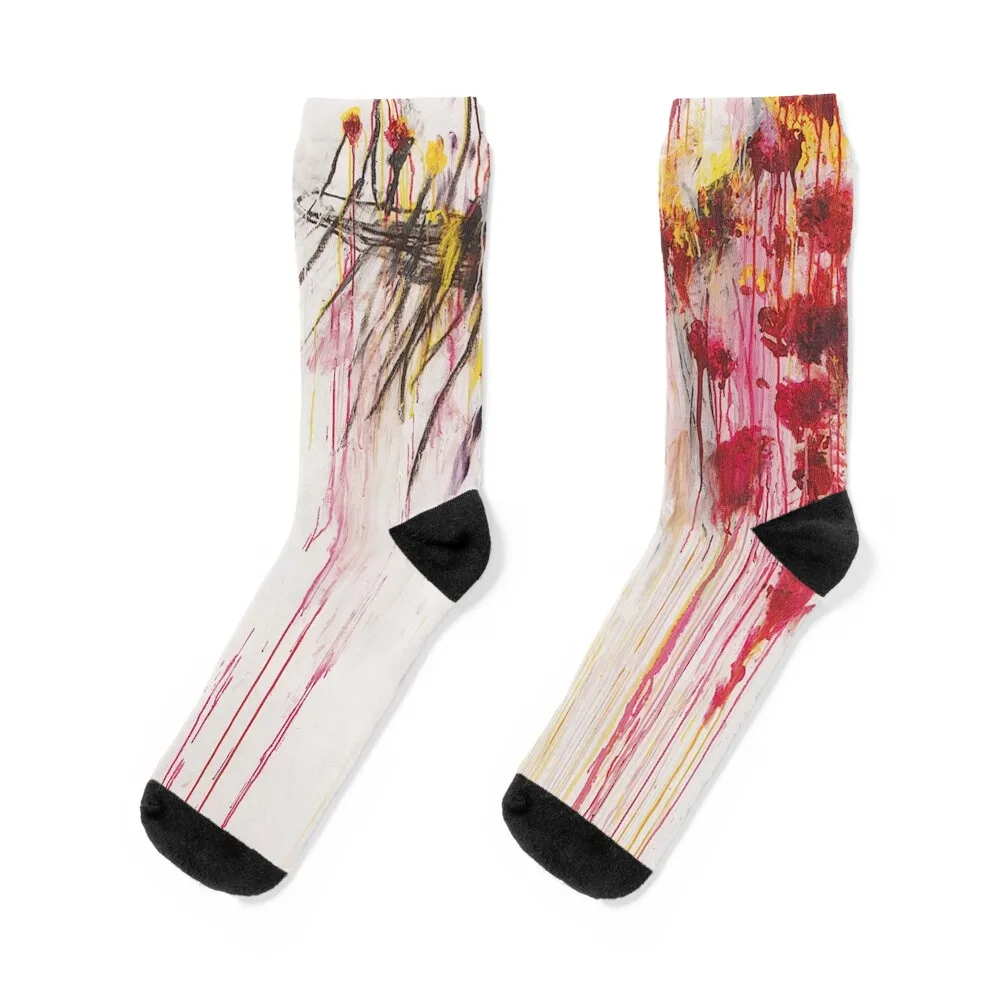 

artist cy twombly, art cy twombly artwork, paintings by painter twombly prints Socks