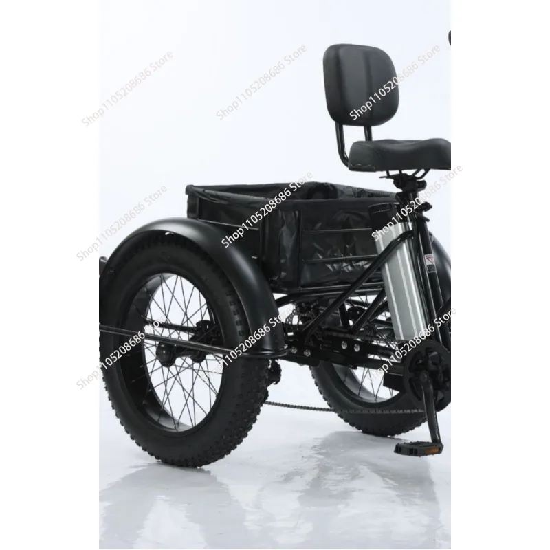 High Power Long Range 3 Wheel E Cargo Trike Adults Sand and Snow Fat Tire Electric Delivery Tricycle